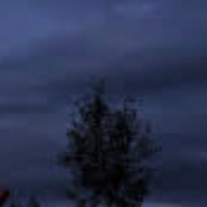 Meet your Posher, Gracie